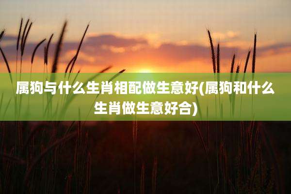属狗与什么生肖相配做生意好(属狗和什么生肖做生意好合)
