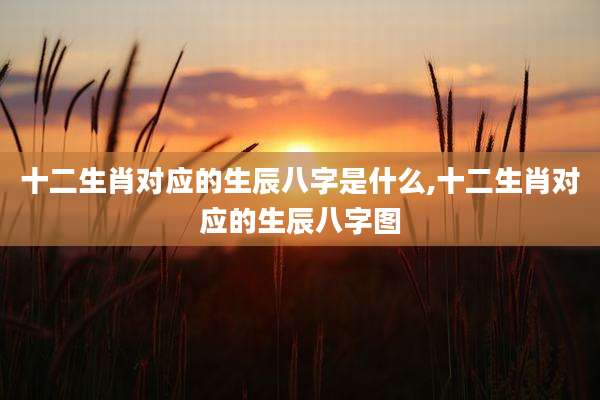 十二生肖对应的生辰八字是什么,十二生肖对应的生辰八字图