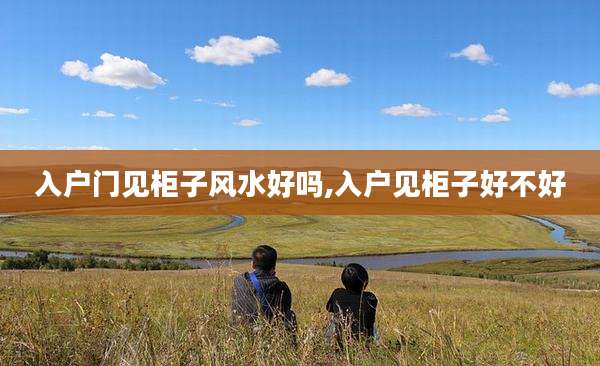入户门见柜子风水好吗,入户见柜子好不好