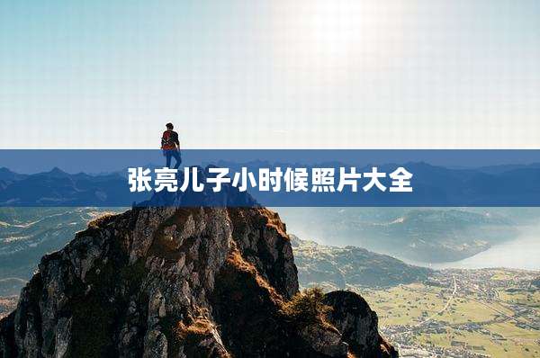 张亮儿子小时候照片大全