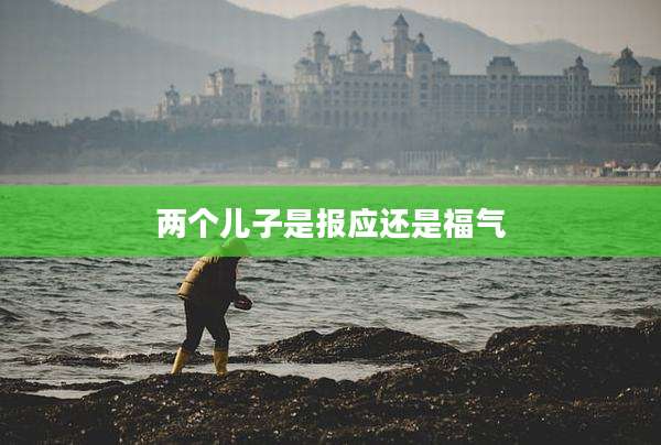 两个儿子是报应还是福气