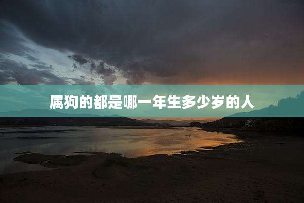 属狗的都是哪一年生多少岁的人