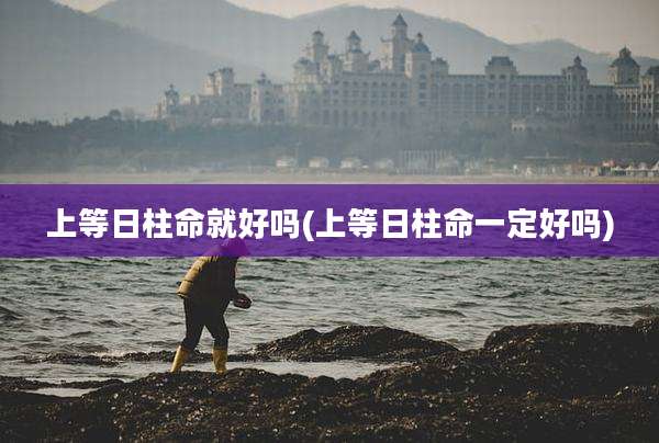 上等日柱命就好吗(上等日柱命一定好吗)