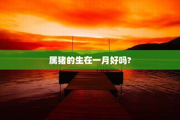 属猪的生在一月好吗?