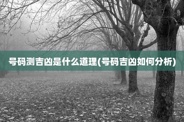 号码测吉凶是什么道理(号码吉凶如何分析)