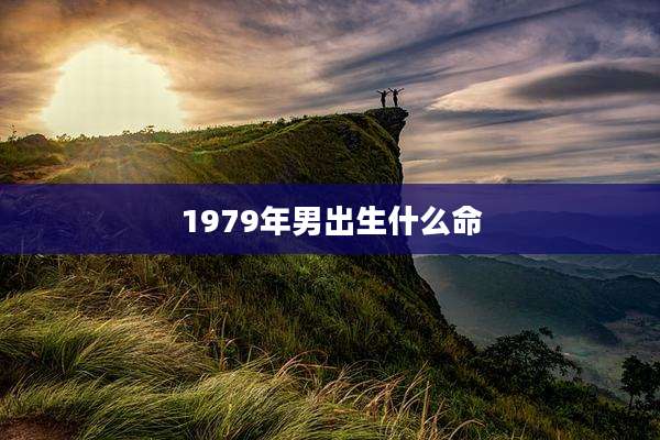1979年男出生什么命