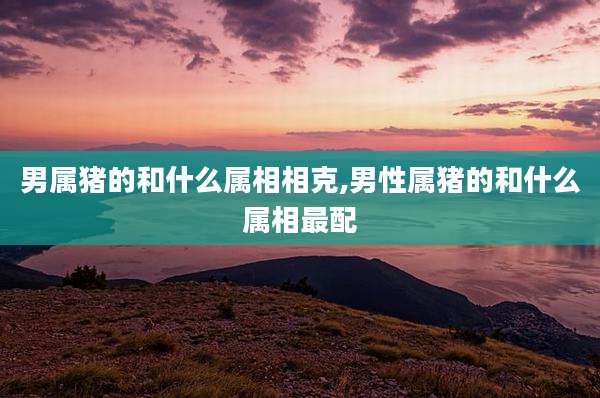男属猪的和什么属相相克,男性属猪的和什么属相最配