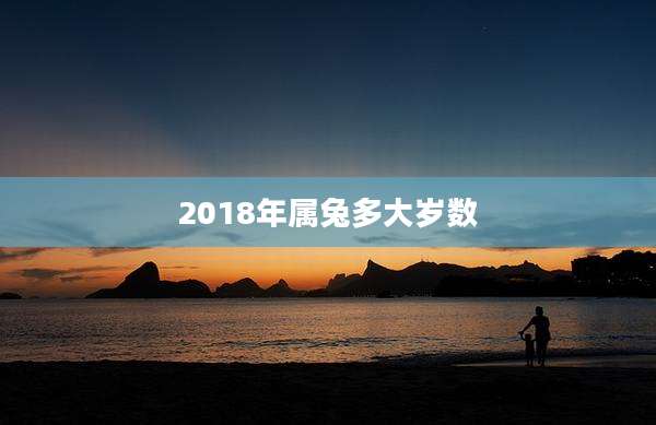 2018年属兔多大岁数