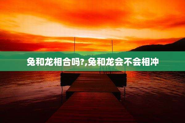 兔和龙相合吗?,兔和龙会不会相冲