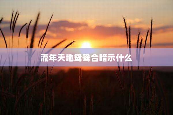 流年天地鸳鸯合暗示什么