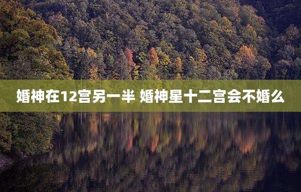 婚神在12宫另一半 婚神星十二宫会不婚么