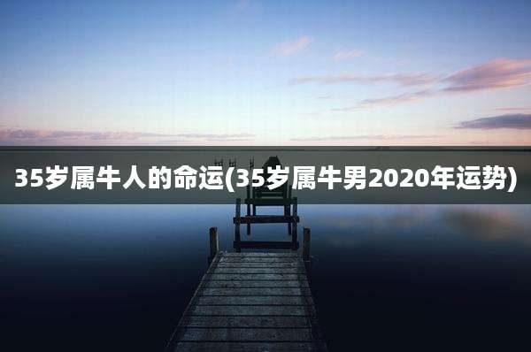 35岁属牛人的命运(35岁属牛男2020年运势)