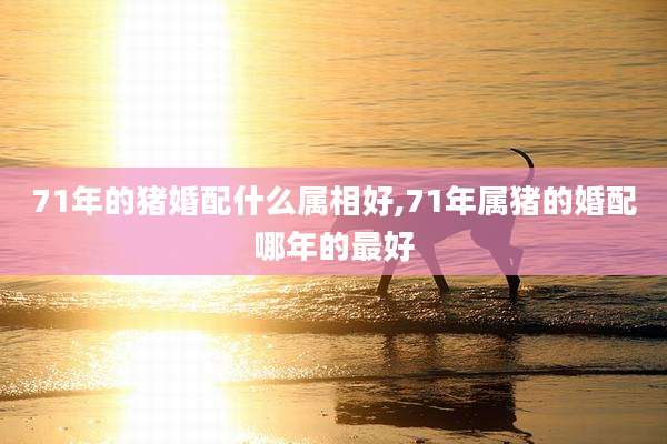 71年的猪婚配什么属相好,71年属猪的婚配哪年的最好