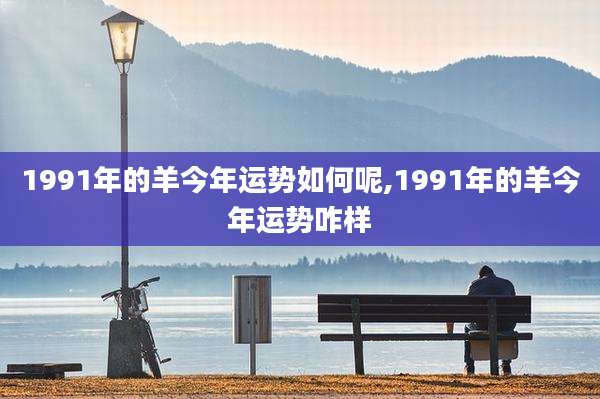 1991年的羊今年运势如何呢,1991年的羊今年运势咋样