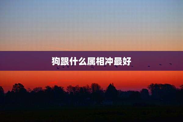 狗跟什么属相冲最好