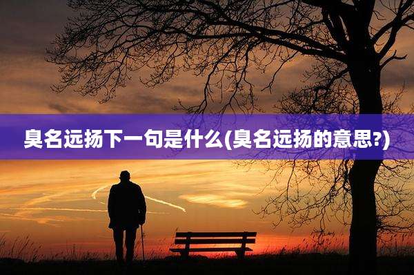 臭名远扬下一句是什么(臭名远扬的意思?)