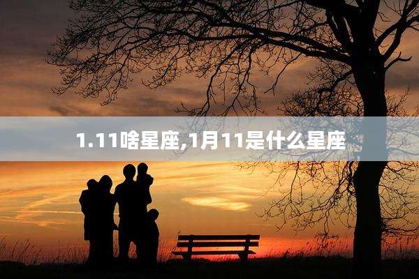 1.11啥星座,1月11是什么星座