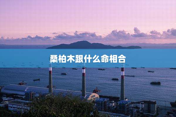 桑柏木跟什么命相合