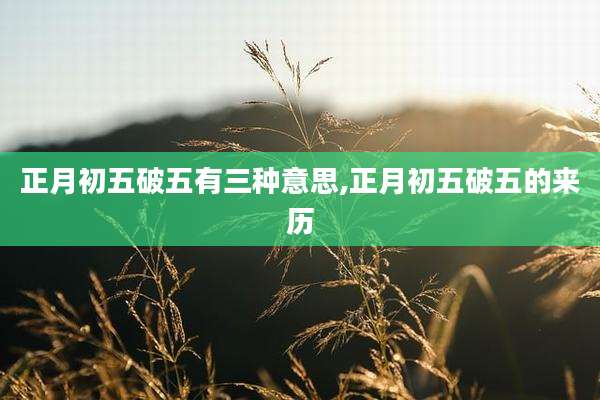 正月初五破五有三种意思,正月初五破五的来历