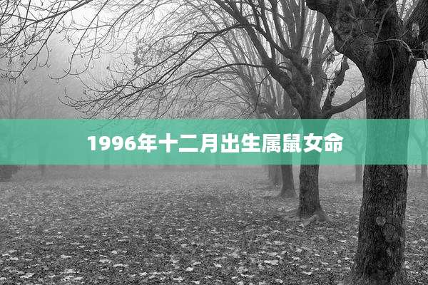 1996年十二月出生属鼠女命