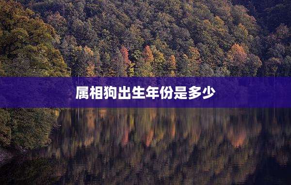 属相狗出生年份是多少