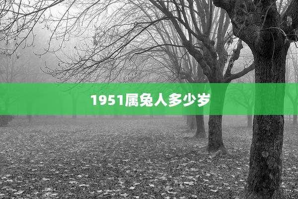 1951属兔人多少岁
