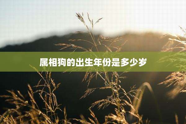 属相狗的出生年份是多少岁