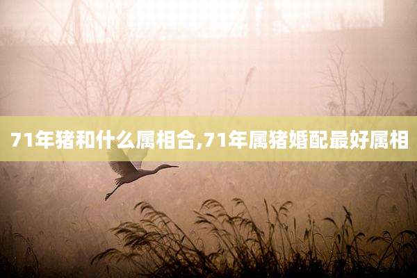71年猪和什么属相合,71年属猪婚配最好属相
