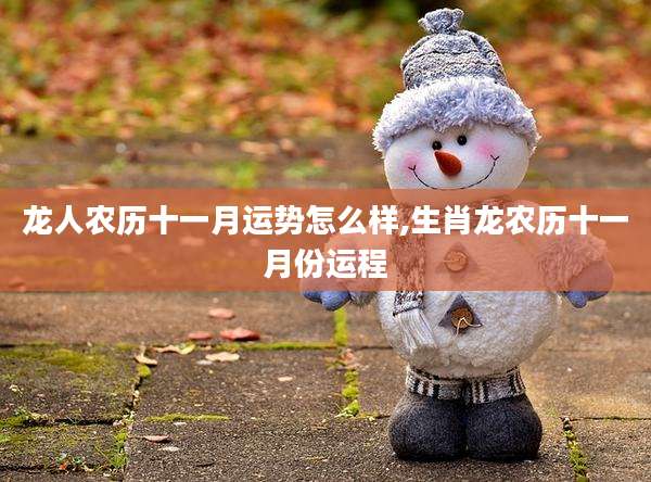 龙人农历十一月运势怎么样,生肖龙农历十一月份运程