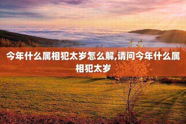今年什么属相犯太岁怎么解,请问今年什么属相犯太岁