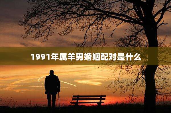 1991年属羊男婚姻配对是什么
