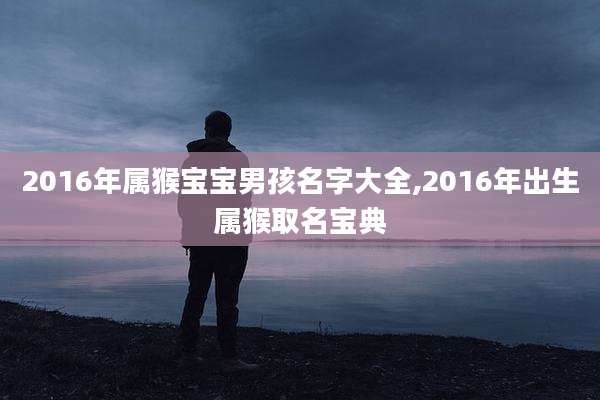 2016年属猴宝宝男孩名字大全,2016年出生属猴取名宝典