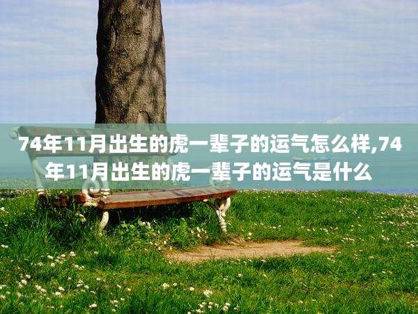 74年11月出生的虎一辈子的运气怎么样,74年11月出生的虎一辈子的运气是什么
