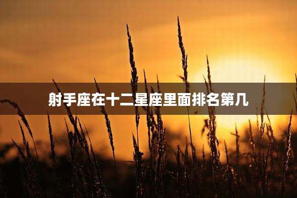 射手座在十二星座里面排名第几