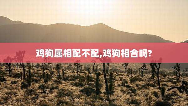 鸡狗属相配不配,鸡狗相合吗?