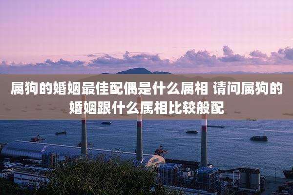 属狗的婚姻最佳配偶是什么属相 请问属狗的婚姻跟什么属相比较般配