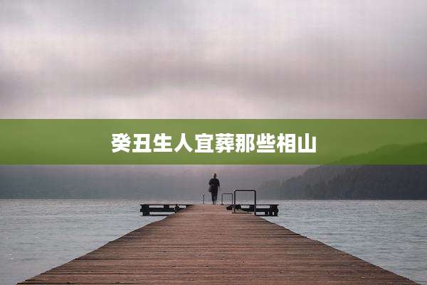 癸丑生人宜葬那些相山