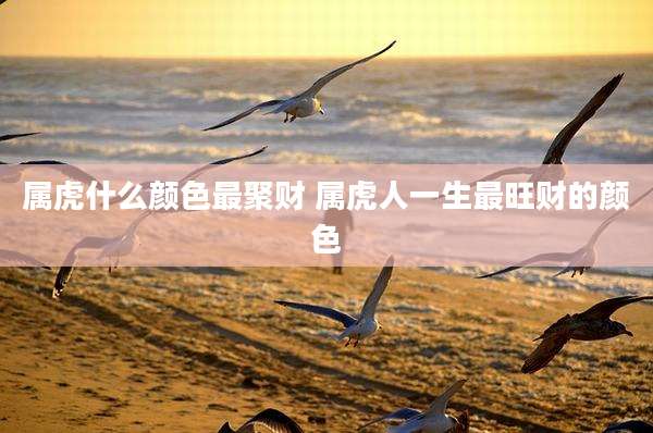属虎什么颜色最聚财 属虎人一生最旺财的颜色
