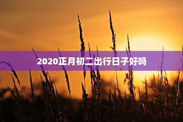 2020正月初二出行日子好吗