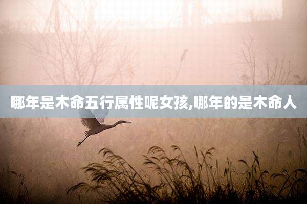 哪年是木命五行属性呢女孩,哪年的是木命人