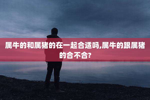 属牛的和属猪的在一起合适吗,属牛的跟属猪的合不合?