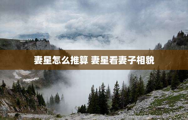 妻星怎么推算 妻星看妻子相貌