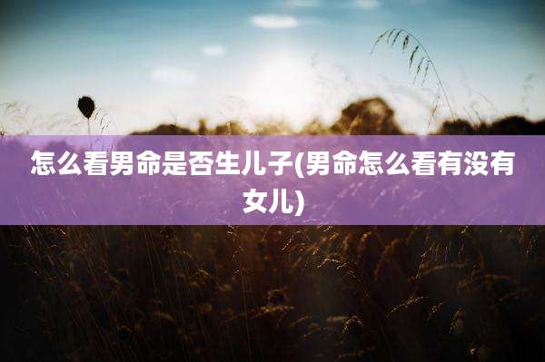 怎么看男命是否生儿子(男命怎么看有没有女儿)