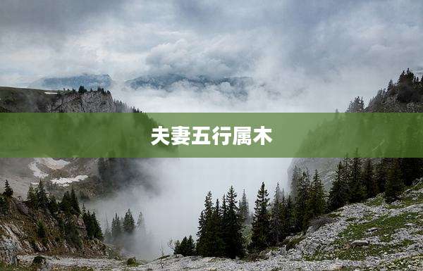 夫妻五行属木