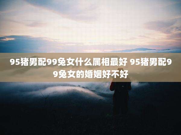 95猪男配99兔女什么属相最好 95猪男配99兔女的婚姻好不好