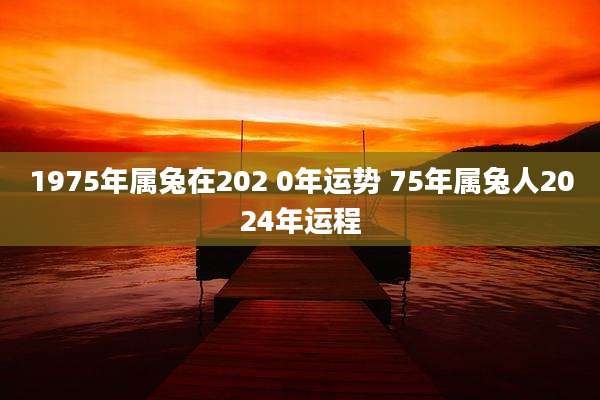 1975年属兔在202 0年运势 75年属兔人2024年运程