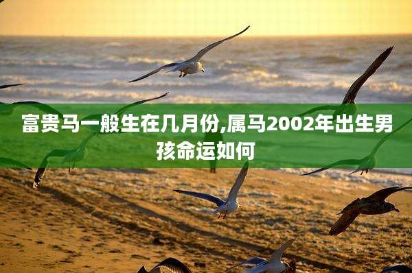 富贵马一般生在几月份,属马2002年出生男孩命运如何