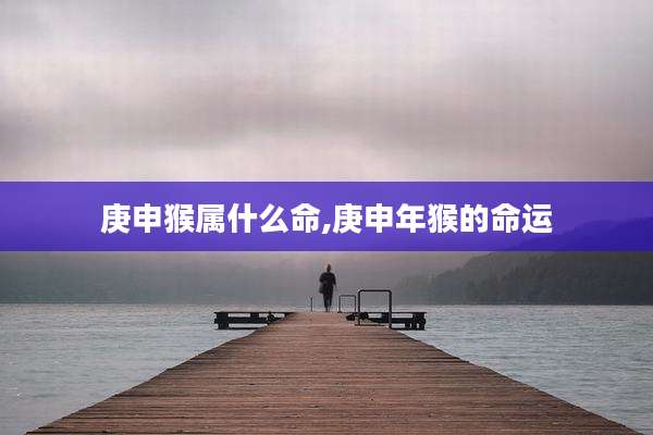 庚申猴属什么命,庚申年猴的命运