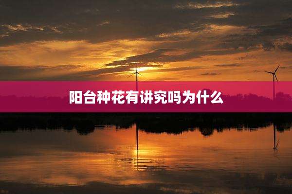 阳台种花有讲究吗为什么