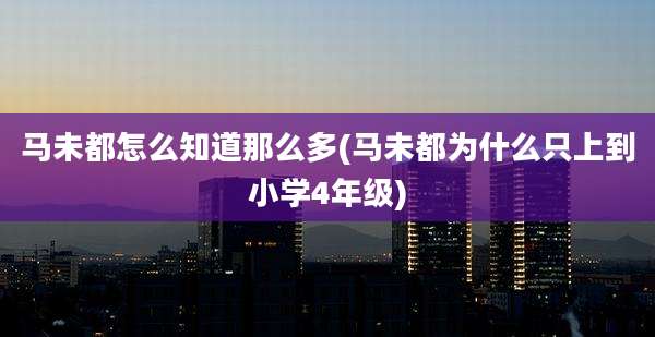 马未都怎么知道那么多(马未都为什么只上到小学4年级)